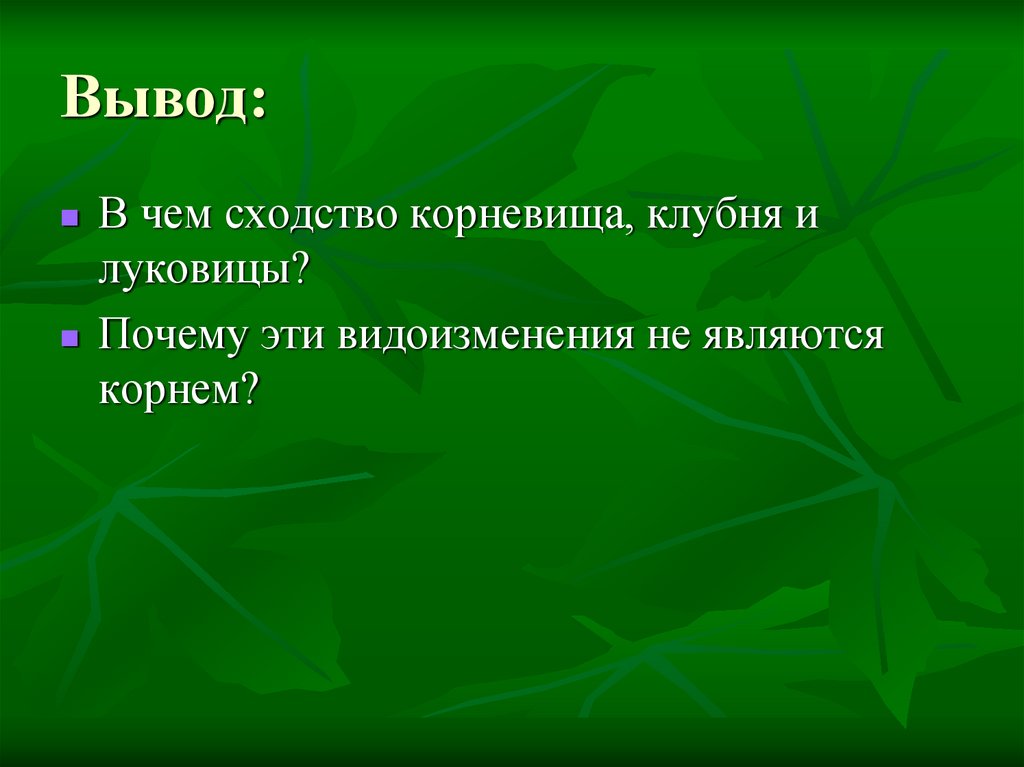 Явиться корень. Сходства клубень,луковицу и корневище. Вывод строение клубня и луковицы. Вывод видоизменения побегов. Сходства строения корневища клубня и луковицы.