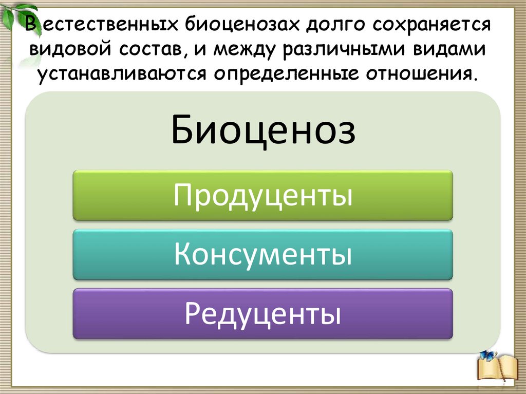 Естественные и искусственные биоценозы презентация