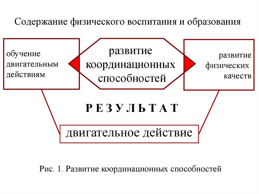 Содержание физической