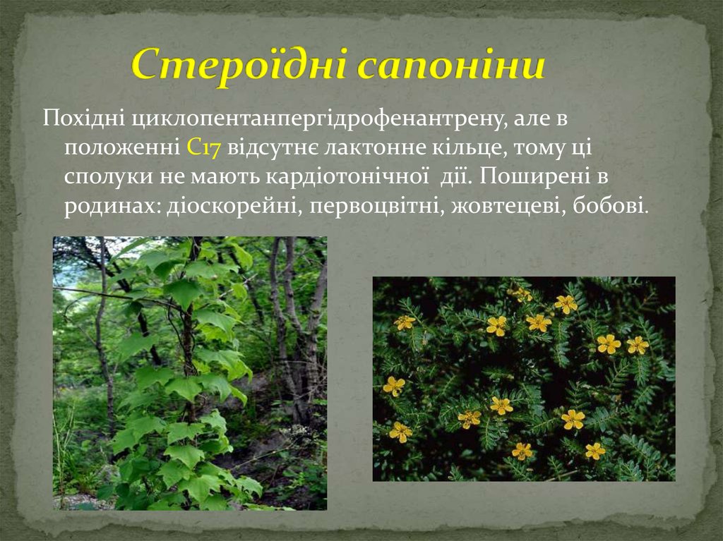 Стероїдні сапоніни