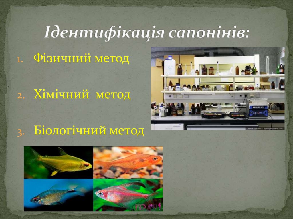 Ідентифікацiя сапонінів: