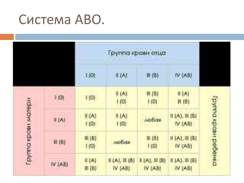 Резус плода анализ