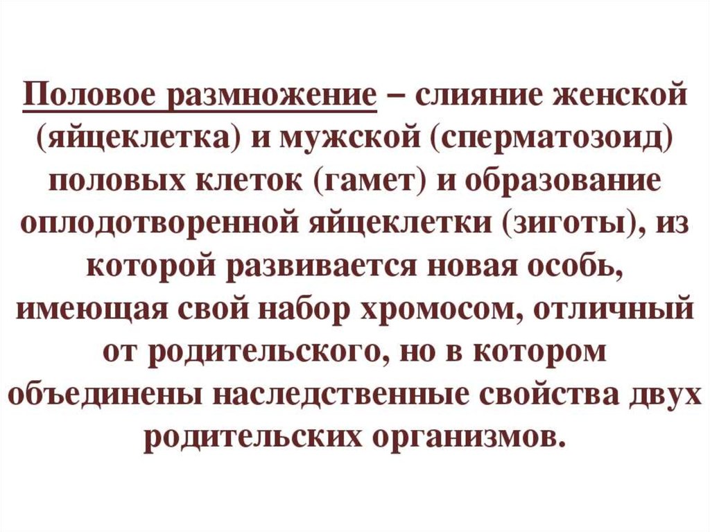 Половое размножение презентация 10 класс