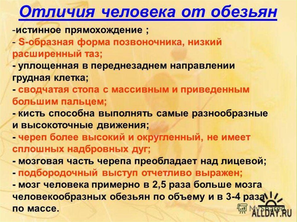 Назовите главное отличие. Отличие человека от обезьяны. Отличие человека от приматов. Чем человек отличается от обезьяны. Чем отличаются обезьяны от ч.