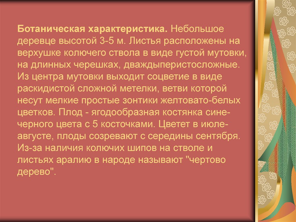 Небольшая характеристика. История создания этюда. Этюд музыкальный Жанр. Сообщение о Этюд Жанр. Сообщение о музыкальном жанре Этюд.