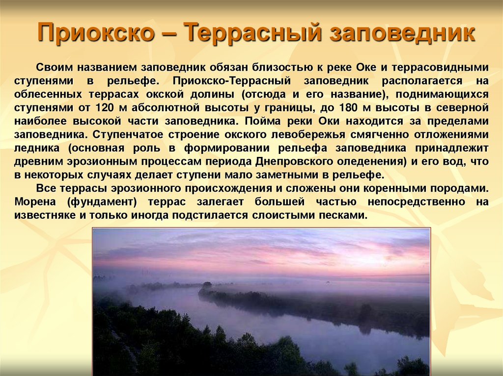 Чем знаменит приокско террасный заповедник. Приокско-Террасный заповедник сообщение. Презентация на тему Приокско Террасный заповедник. Приокский заповедник презентация. Приокско-Террасный заповедник доклад.