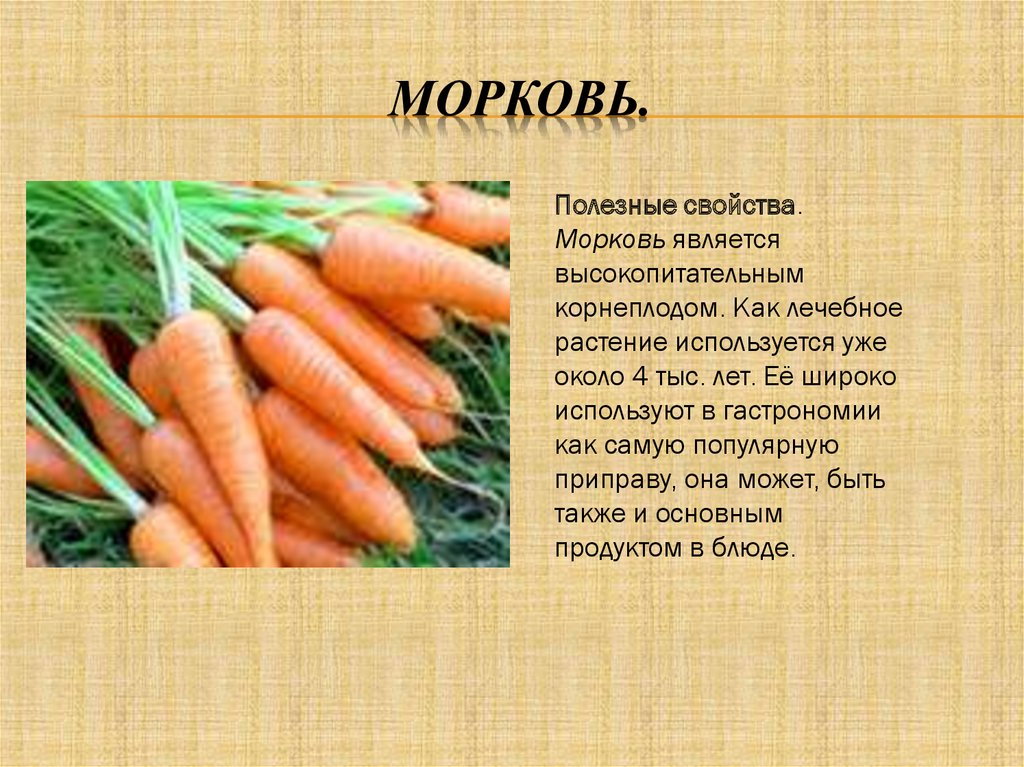 Сколько гр морковь. Что полезного в моркови. Характеристика моркови. Чем полезна морковь. Для чего полезна морковь.