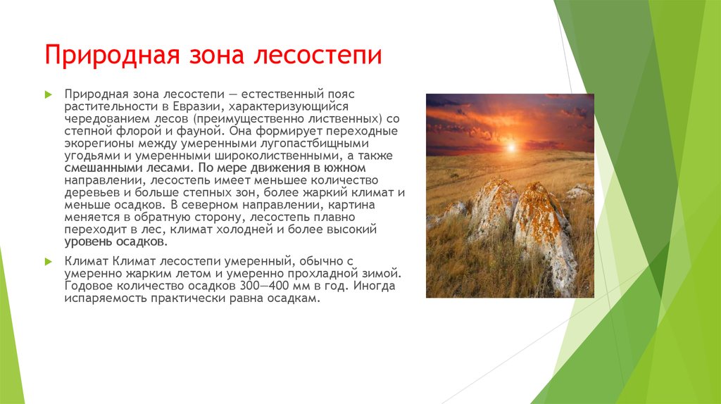 Лесостепи и степи отличаются богатством биологических ресурсов. Зоны степей и лесостепей в России климат. Природная зона степь климат. Зона лесостепь растительный и животный мир в России. Евразия степи и лесостепи климат таблица.