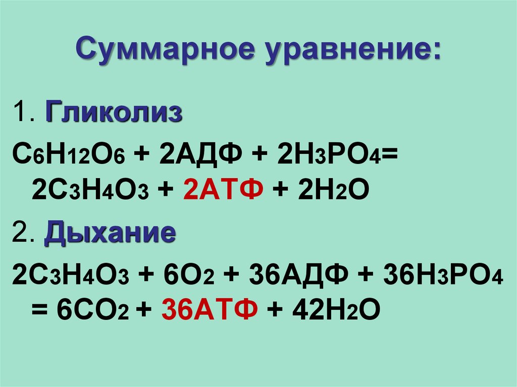 Уравнение реакции химического процесса. Суммарная формула гликолиза. Аэробный гликолиз формула. Гликолиз формула. Гликолиз уравнение реакции.