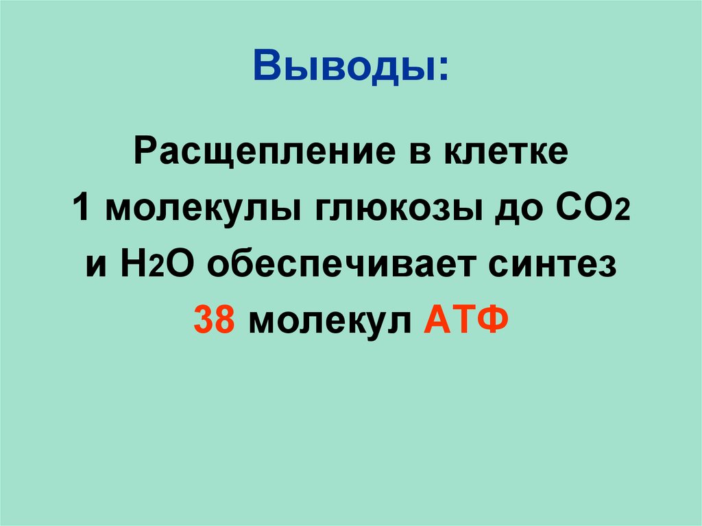 Расщепление молекулы глюкозы. Синтез 38 молекул АТФ. Расщепление 1 молекулы Глюкозы. Энергетический обмен вывод.