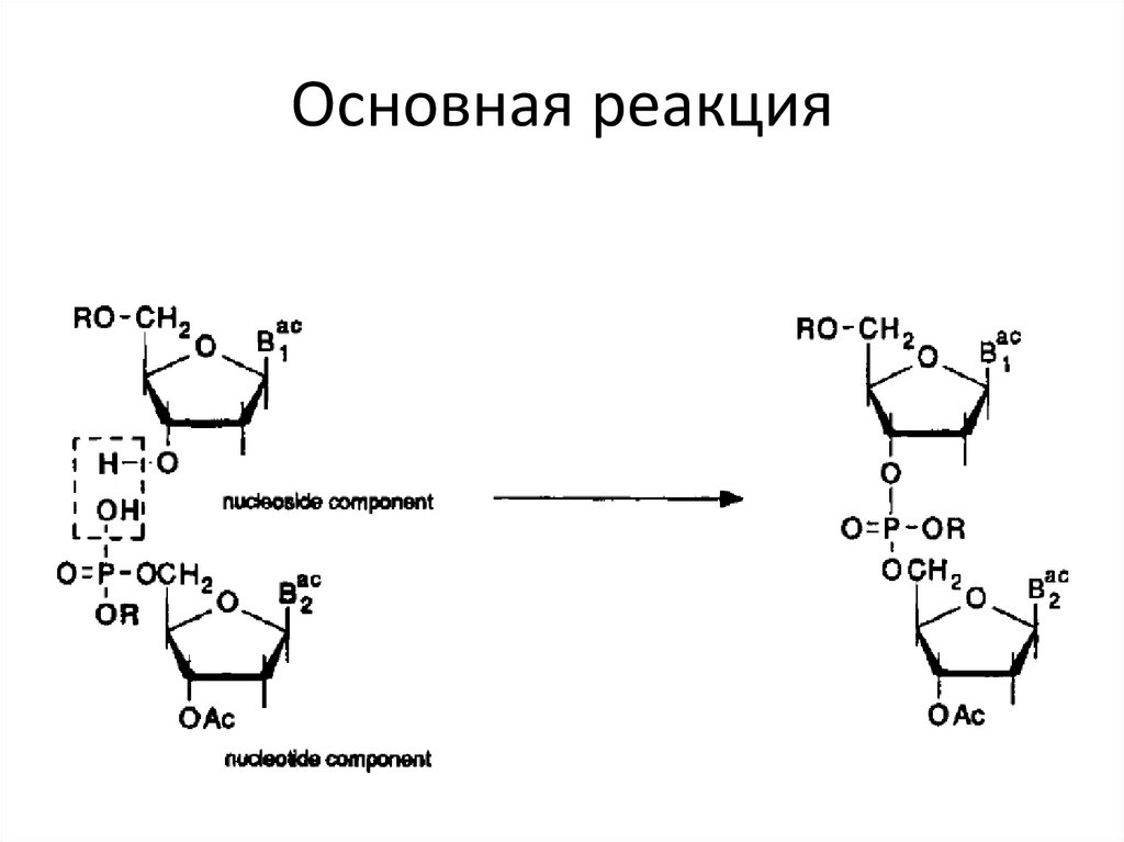 Основная реакция