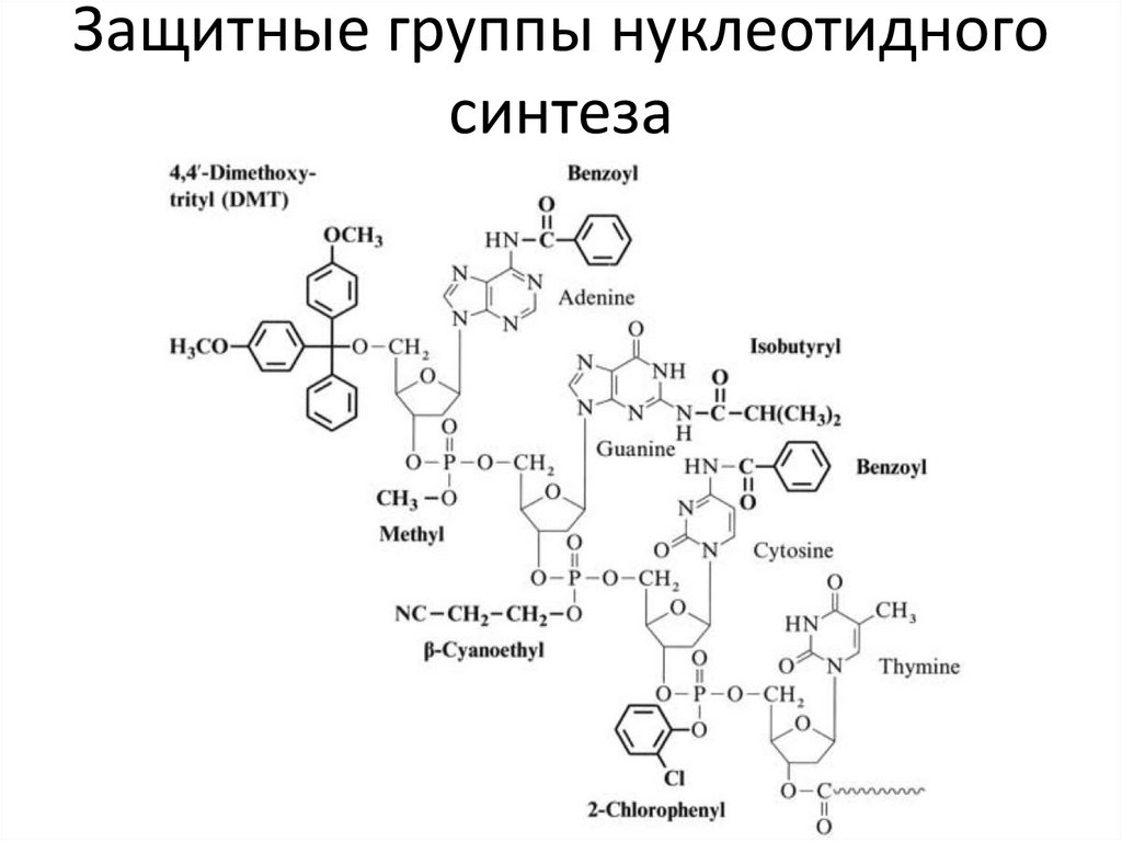 Органический процесс синтеза. Олигонуклеотиды защитные группы'. Синтез олигонуклеотидов. Схема синтеза олигонуклеотидов. Защитные группы в органическом синтезе.