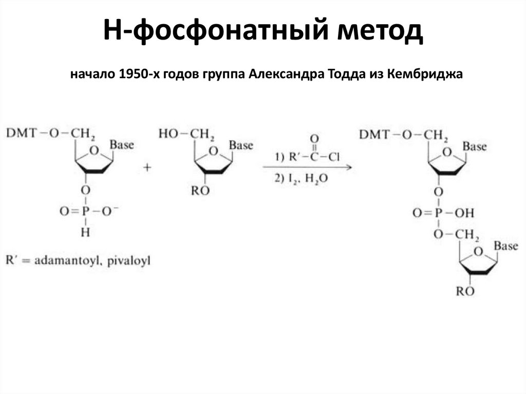 Метод начало. Н-фосфонатный метод. Фосфотриэфирный метод. Н-фосфонатный метод синтеза олигонуклеотидов.