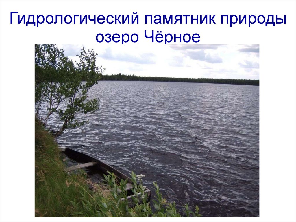 Гидрологический памятник природы озеро Чёрное