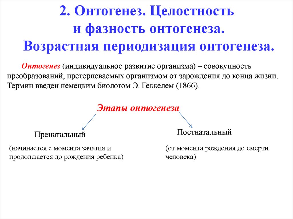 Реферат взаимодействия