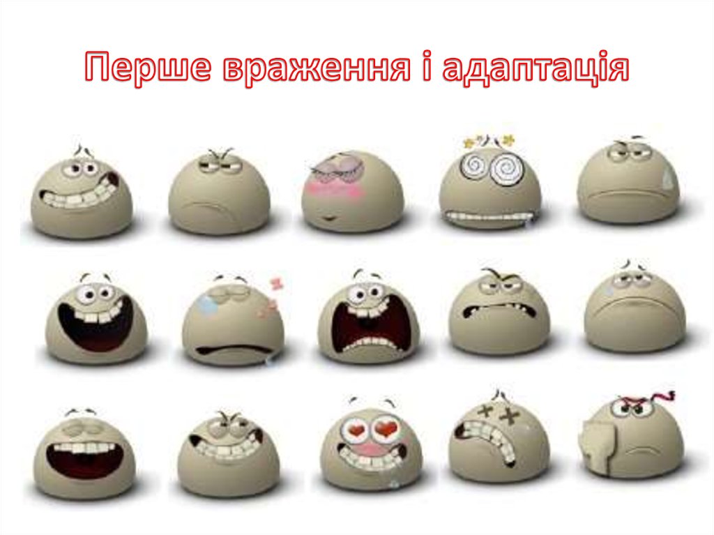 Перше враження і адаптація