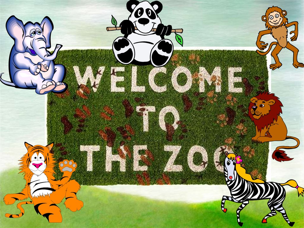 my zoo forum