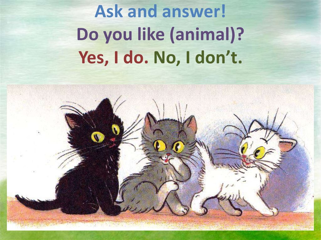 Ask and answer! Do you like (animal)? Yes, I do. No, I don’t.