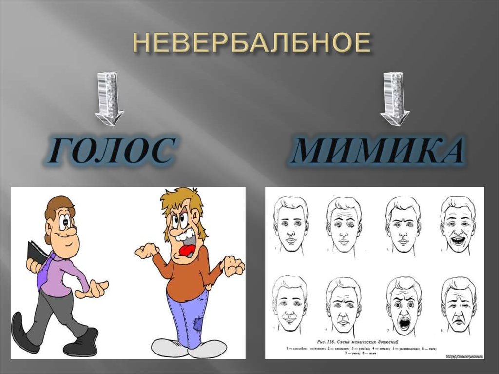 НЕВЕРБАЛБНОЕ