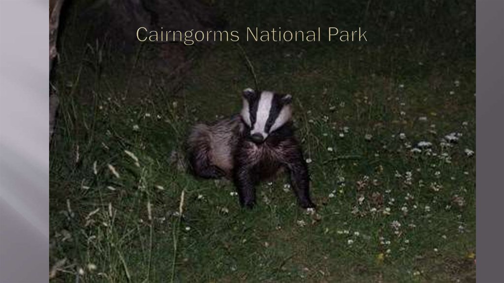 Cairngorms National Park