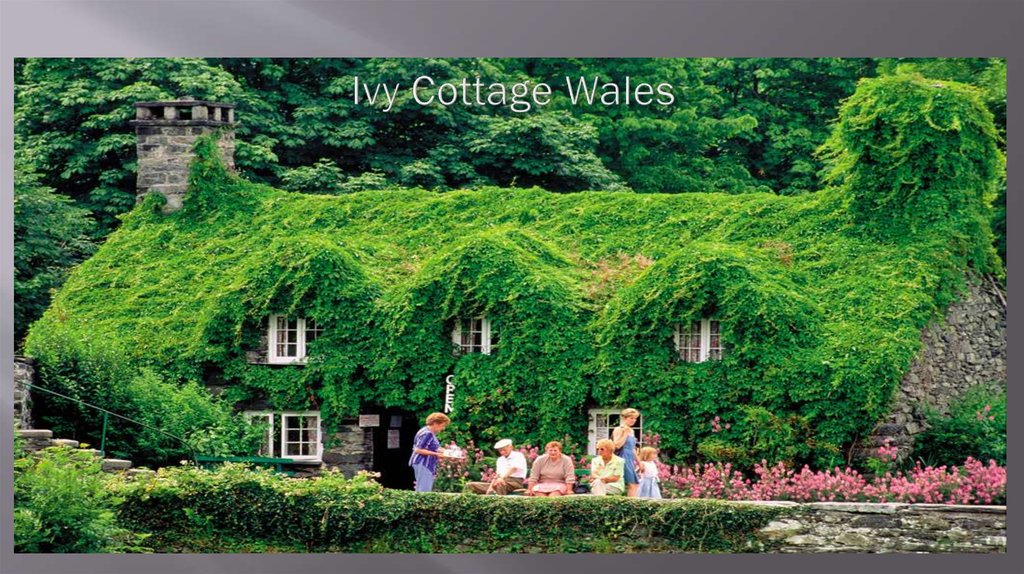 Ivy Cottage Wales
