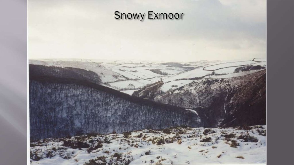 Snowy Exmoor