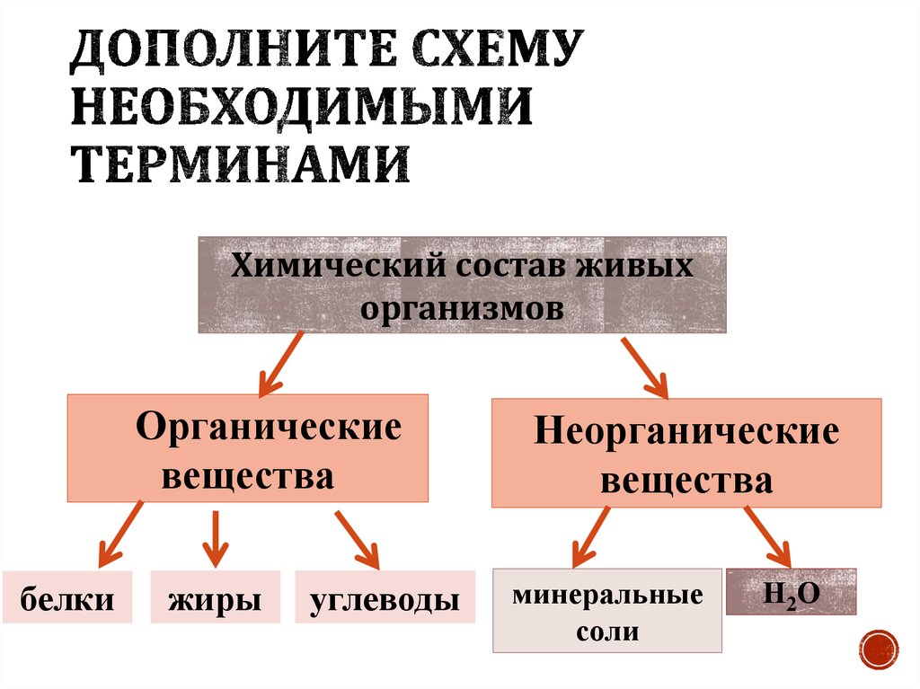 Какие минеральные соли входят состав живых организмов. Жиры это неорганические вещества. Химический состав живого.