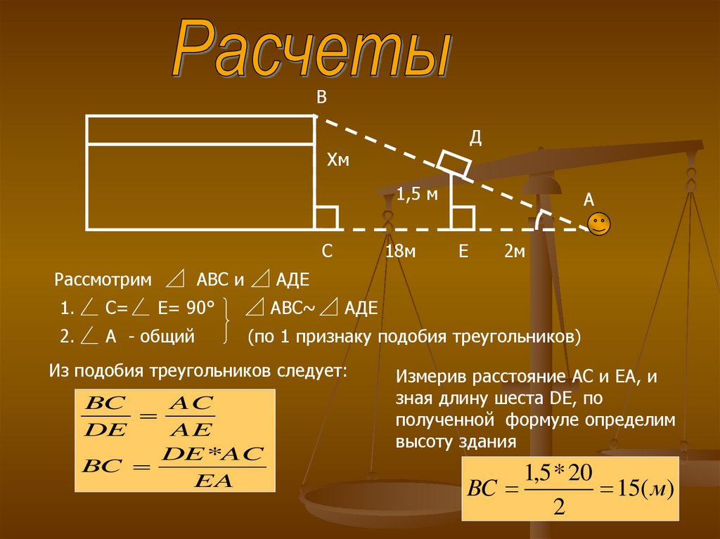 Проект измерительные работы на местности 8 класс