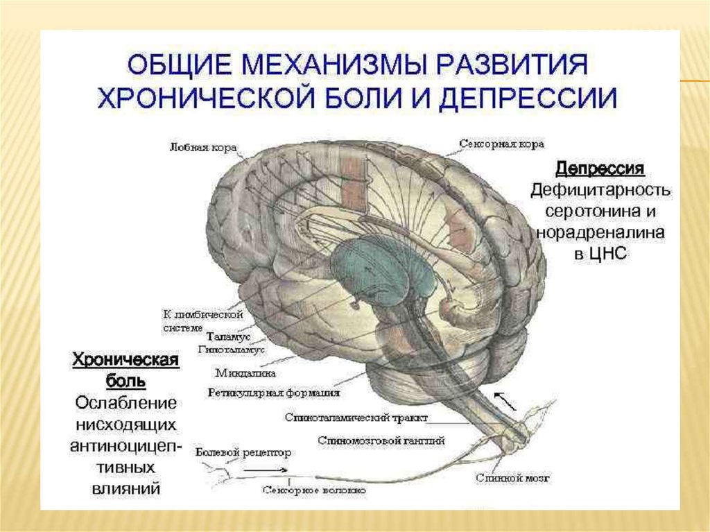 Депрессия головного мозга