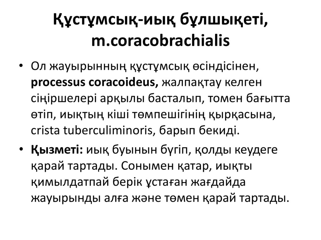 Құстұмсық-иық бұлшықеті, m.coracobrachialis