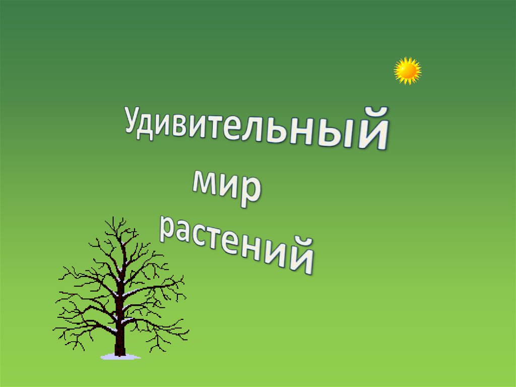 3кл презентация