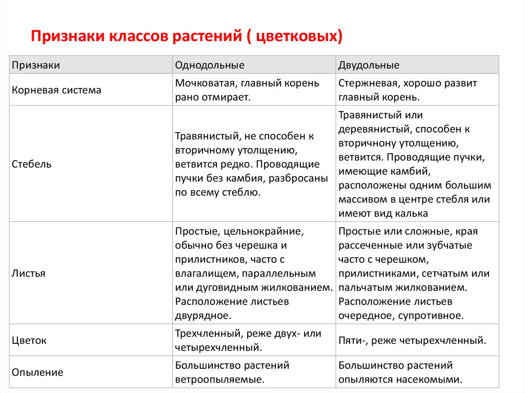 Сравнение классов однодольные и двудольные. Классы растений таблица и признаки. Признаки класса растений. Признаки класса двудольных растений. Классы цветковых растений.