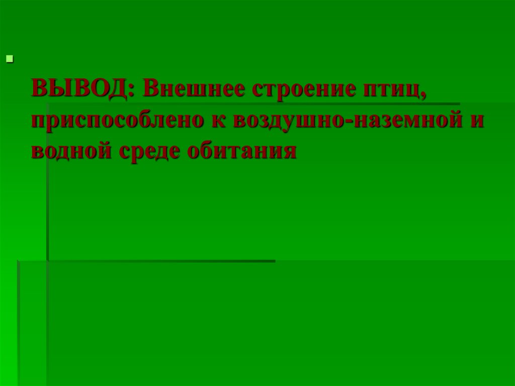 Вывод об особенностях внешнего строения птиц