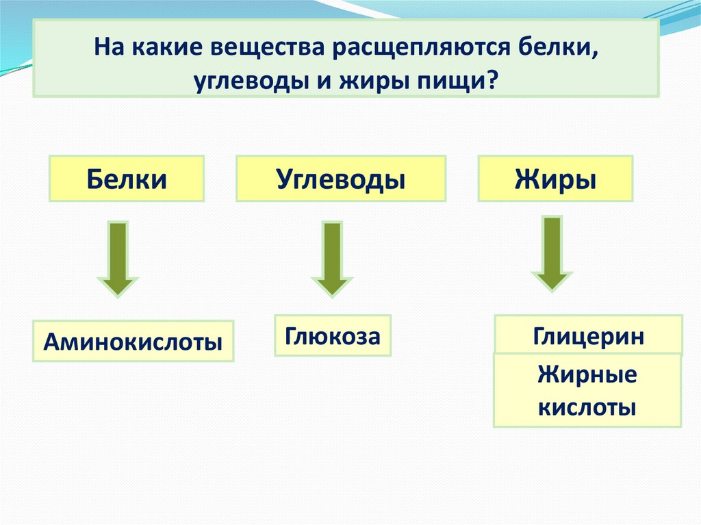 Почему пищевые белки жиры и углеводы распадаются на более простые соединения составьте схему кратко