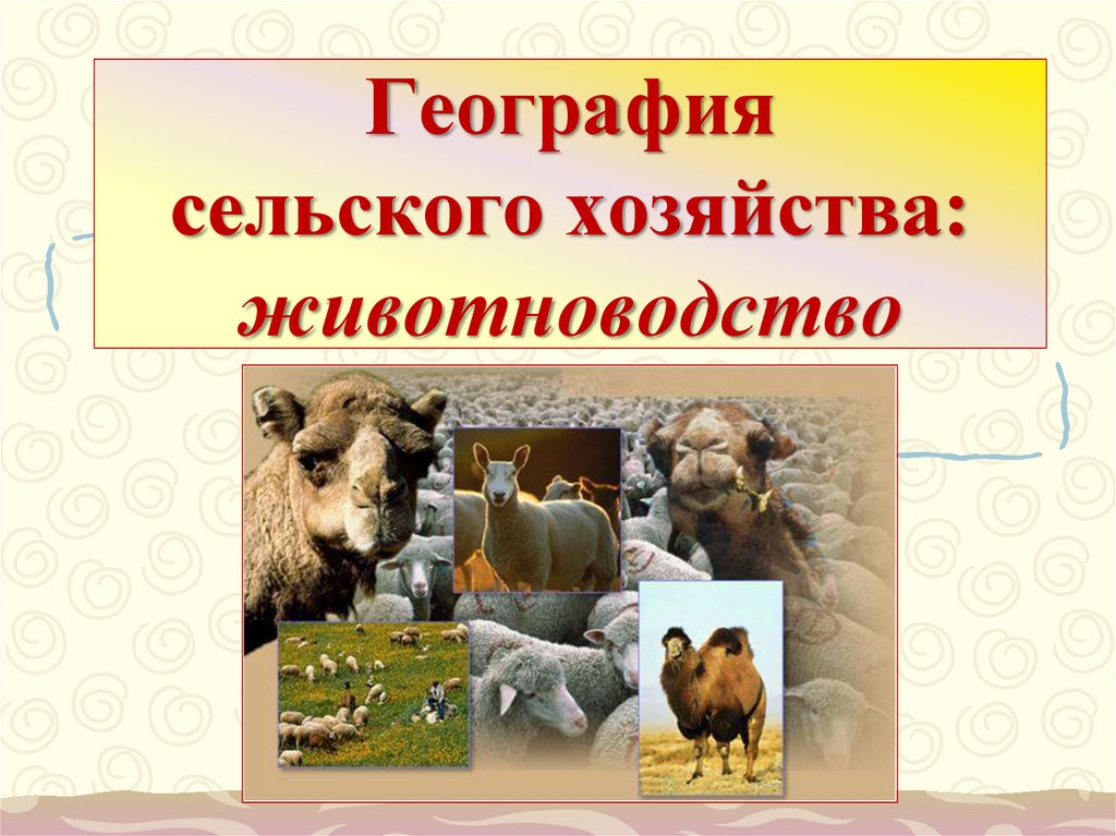 Сельское хозяйство животноводство 9 класс презентация полярная звезда