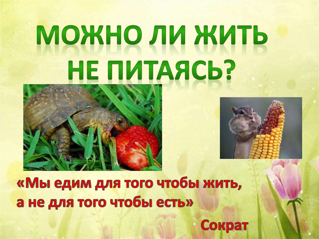 Можно ли прожить