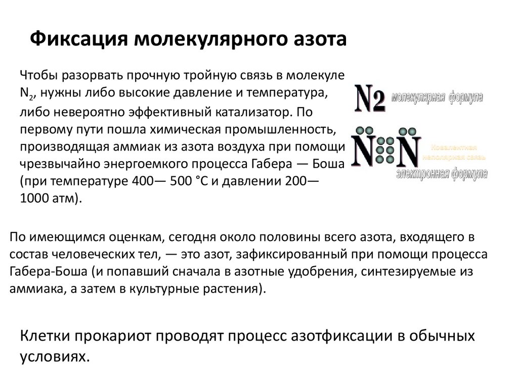 Энергия связи молекулы азота. Фиксация молекулярного азота. Фиксация азота воздуха. Молекулярный механизм фиксации азота.. Клетки для фиксации молекулярного азота.