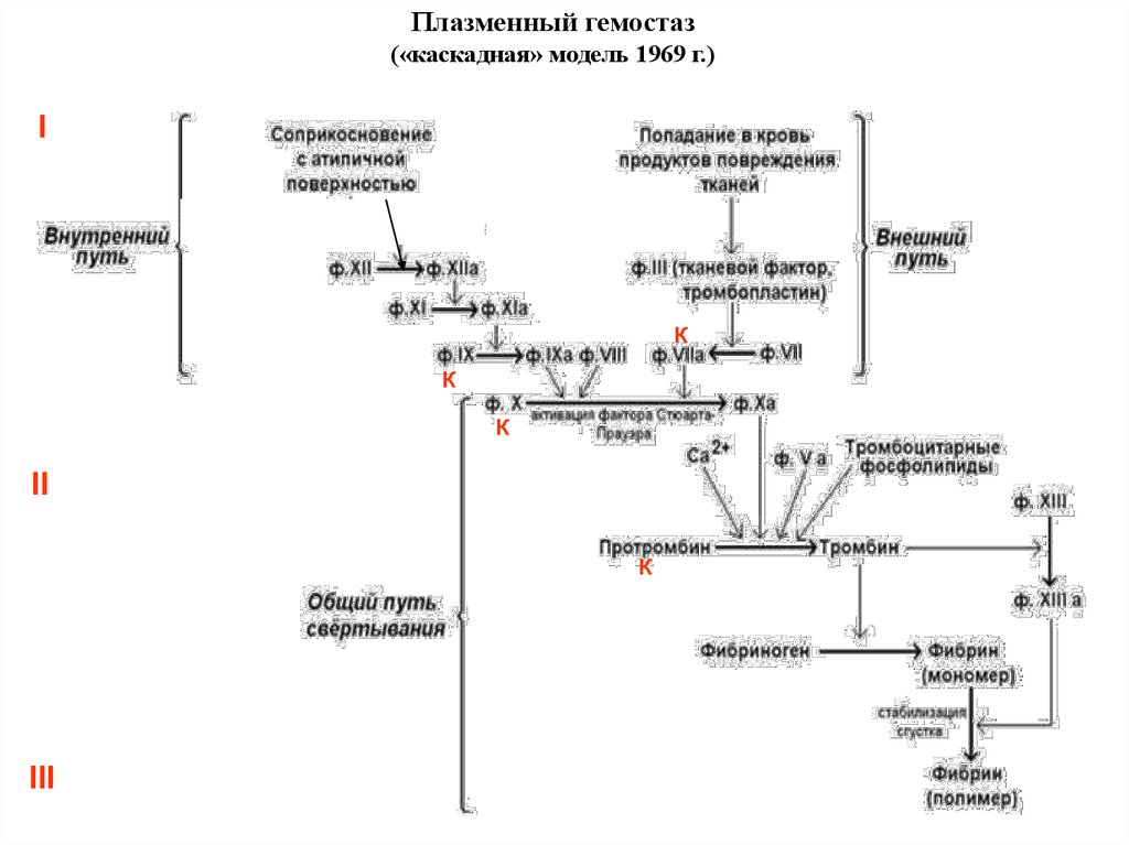 Каскад свертывания крови схема