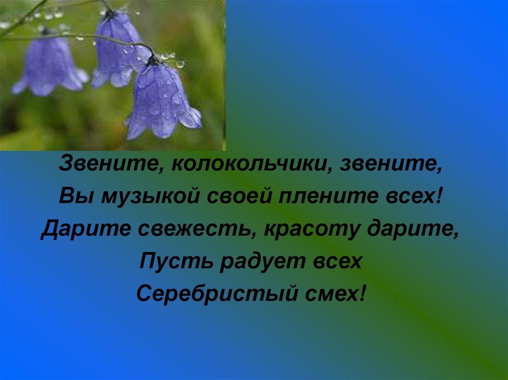 Музыка 3 минуты колокольчик. Стих про колокольчик. Стихи про колокольчики цветы. Стихотворение про колокольчик для детей. Колокольчик звенит.