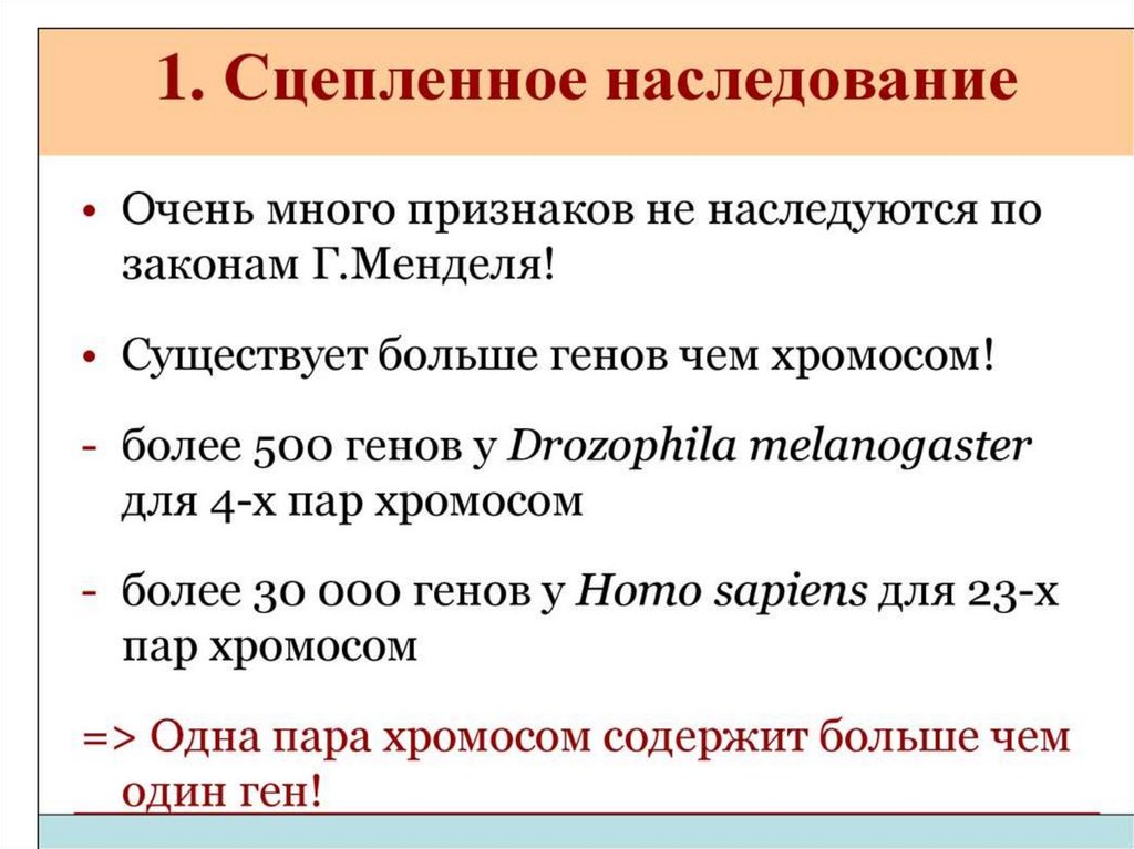 Проект по обществознанию факторы риска подросток в обществе риска