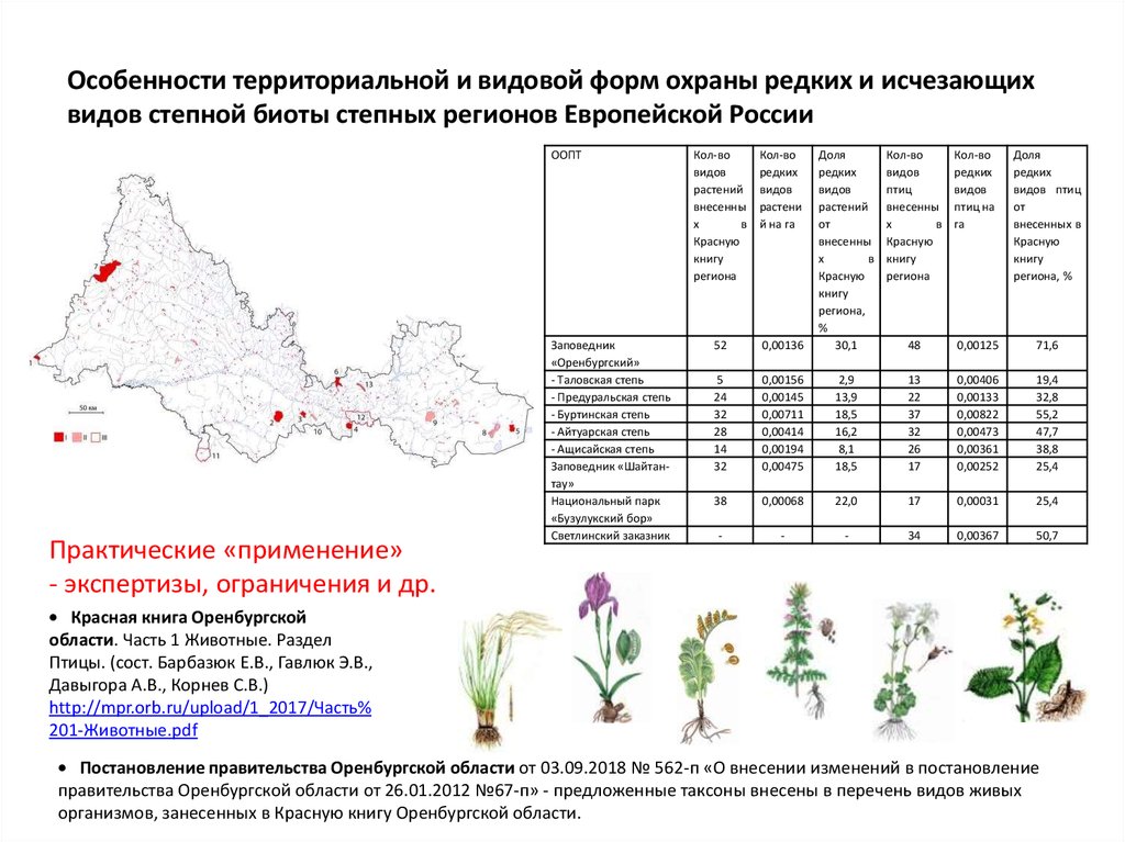 Погода на карте оренбургской