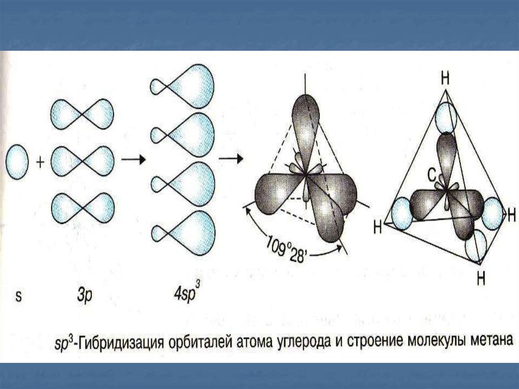 Алканы sp3. Sp2 и sp3 гибридизация углерода. Scl2 схема гибридизации. Sp3 гибридизация атомных орбиталей углерода. Схема перекрывания атомных орбиталей co2.