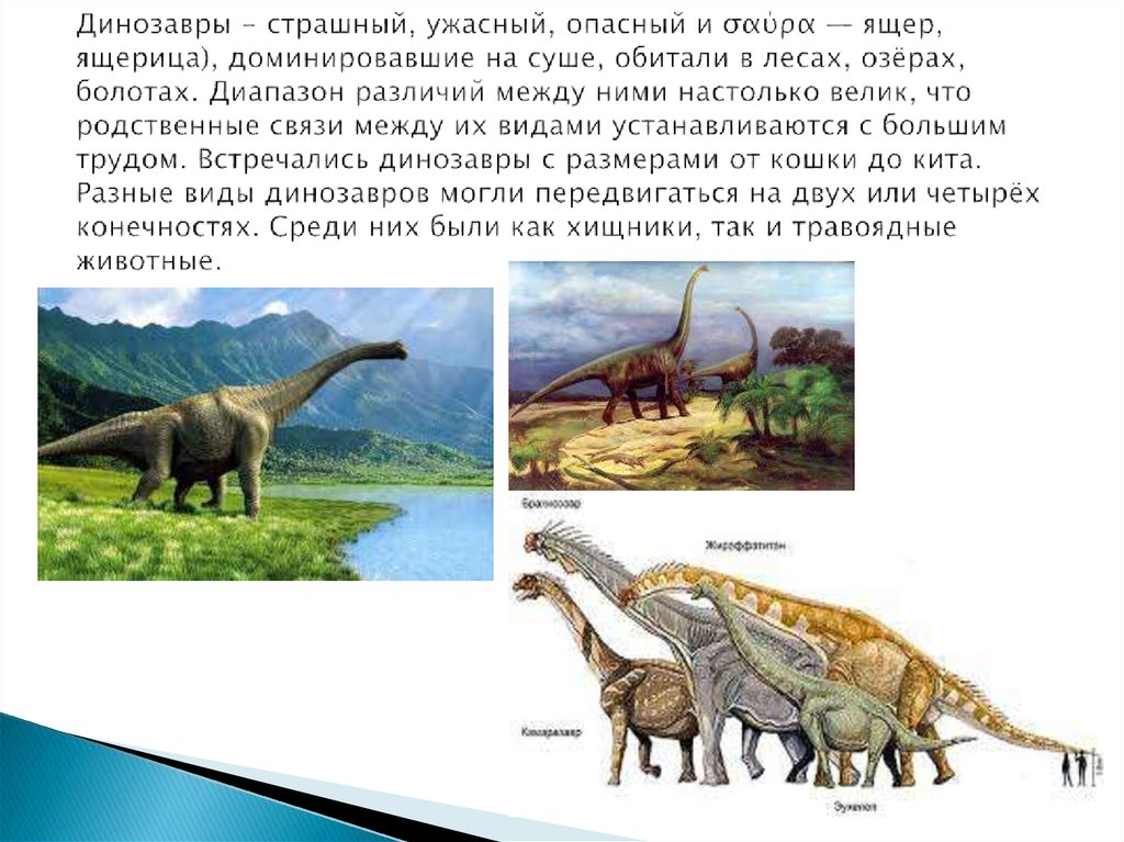 Динозавры - страшный, ужасный, опасный и σαύρα — ящер, ящерица), доминировавшие на суше, обитали в лесах, озёрах, болотах.