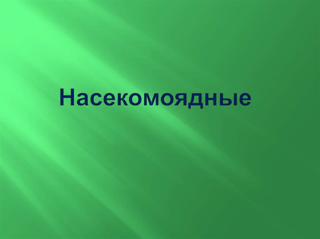 Насекомоядные