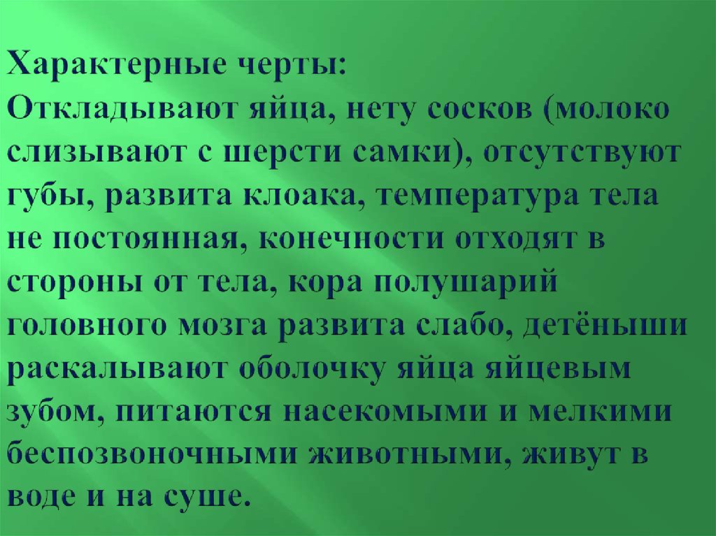 Характерные черты: Откладывают яйца, нету сосков (молоко слизывают с шерсти самки), отсутствуют губы, развита клоака,