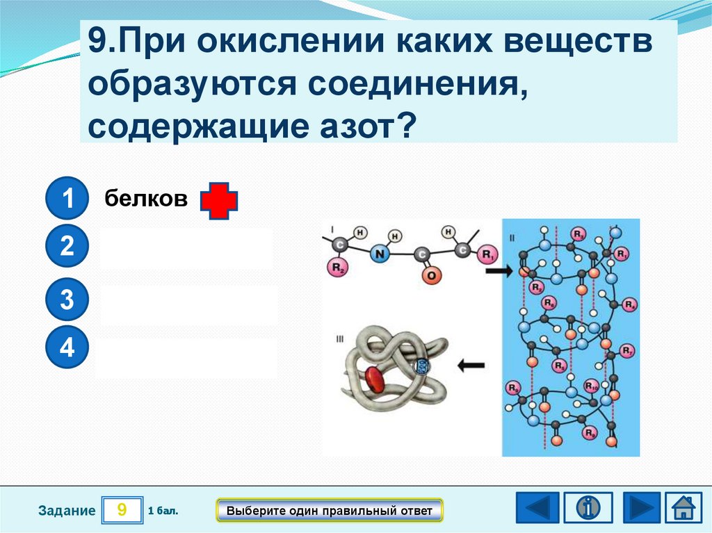 Вещество содержащее азот. Задачи по энергетическому обмену. Продукты обмена веществ содержащие азот. При окислении каких веществ освобождается больше энергии.