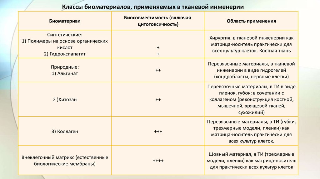 Тканевая инженерия презентация