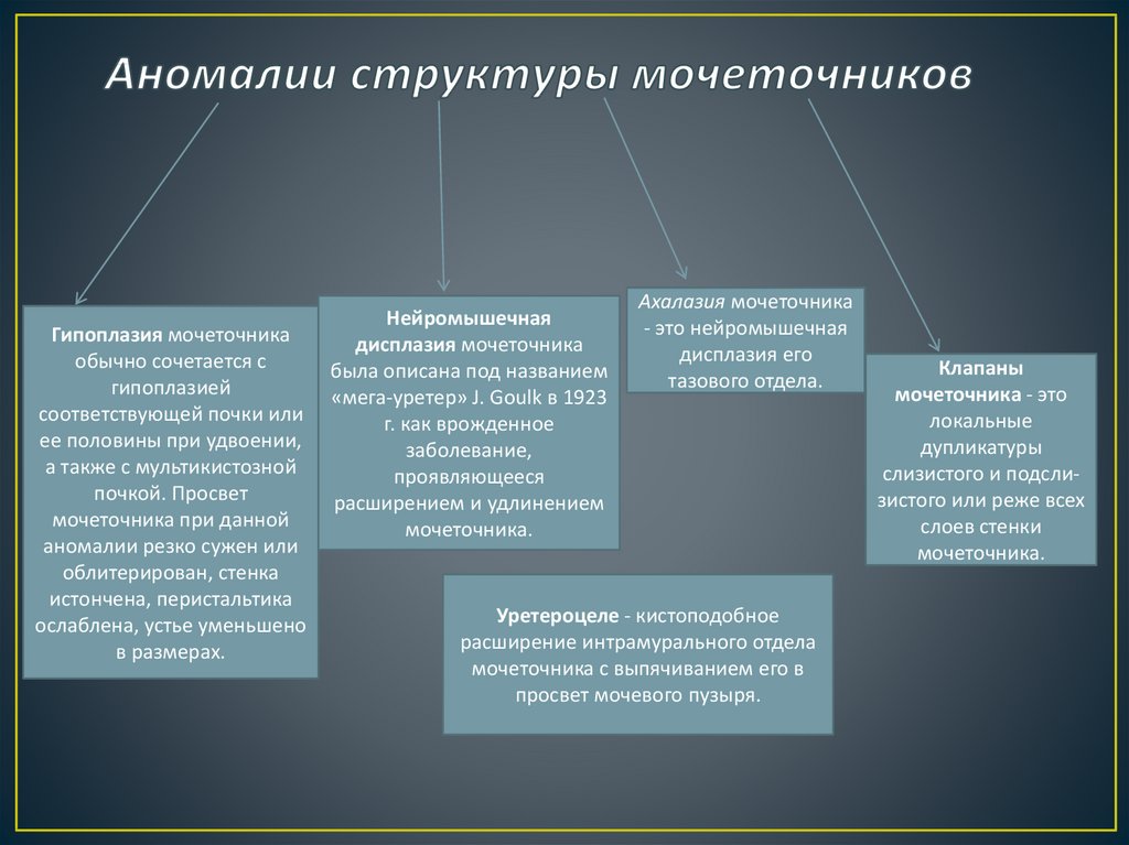 К локальным формам аномального развития принято относить. Аномалии формирования структуры. Аномалии развития мочеточников. Особенность структурной аномалии. Количественные и структурные аномалии.