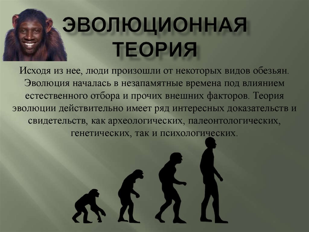 Некоторые эволюционные изменения приводят к появлению. Теория эволюции. Эволюционная теория. Происхождение человека. Эволюционная теория происхождения человека.