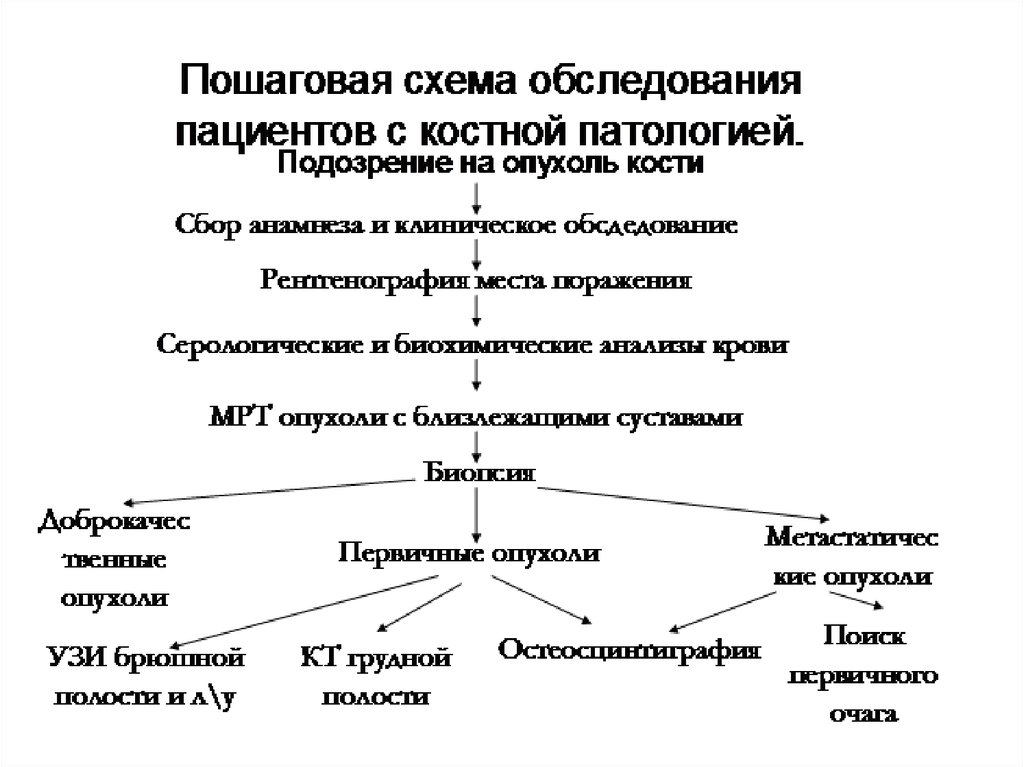 Схема общего обследования больного